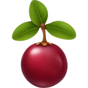 CRANBERRY sticker