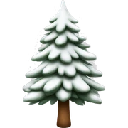  actual white fir christmas tree isolated.  sticker