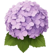 hydrangea sticker