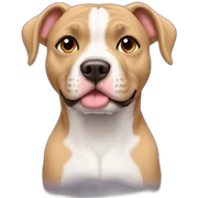angel pitbul sticker