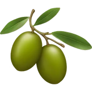 Olive sticker