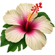 Hibiscus flower sticker