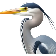 heron sticker