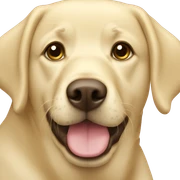 Blond Labrador  sticker