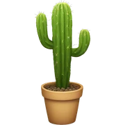 Cactus sticker