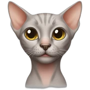 Hairless cat sticker