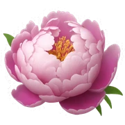 Peony  sticker