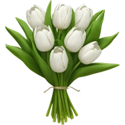 white tulip bouquet  sticker