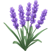 Lavender sticker