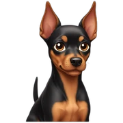 Dwarf pinscher sticker