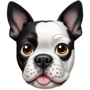 black and white boston terrier sticker