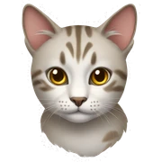 cat sticker