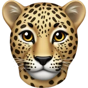 Leopard sticker