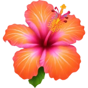 Pink and orange Hibiscus flower sticker
