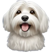 havanese dog sticker