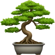 Bonsai plant  sticker