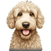 labradoodle sticker