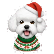 Bichon frise with Christmas sweater  sticker