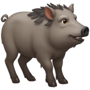 Boar sticker