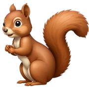 squirrel sticker