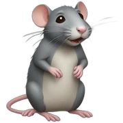 Rats sticker