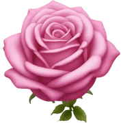 Cercueil rose sticker