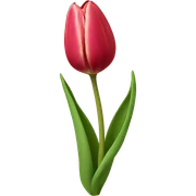 Tulip sticker
