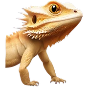 Bearded dragon sticker