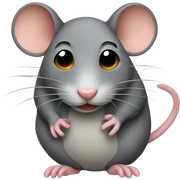Rat  sticker