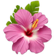 Flor de hibisco en la playa sticker