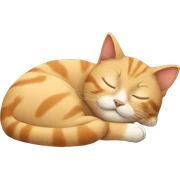 Cat sleeping  sticker