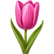 Pink tulips with a bow sticker