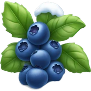Blueberry bush with snow sticker