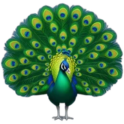 Peacock sticker