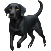 Black lab hunting sticker