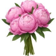 bouquet of peonies sticker