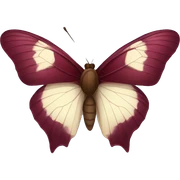 Burgundy butterfly sticker