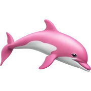 pink dolphin sticker