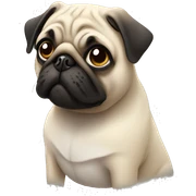 pug sticker