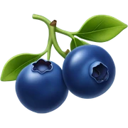 Blueberry sticker