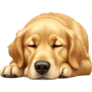 Golden retriever sleeping upright sticker