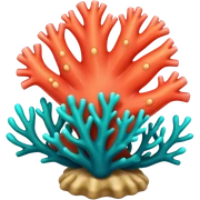 coral sticker