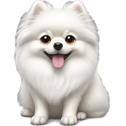 White Pomeranian sticker