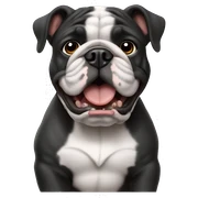 bulldog francés black sticker