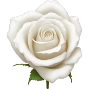 White Rose sticker