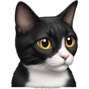 tuxedo cat  sticker