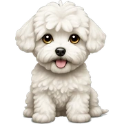 maltipoo sticker