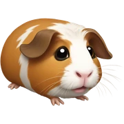 Guinea pig sticker