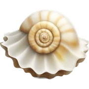 Shell sticker