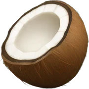 coconut sticker